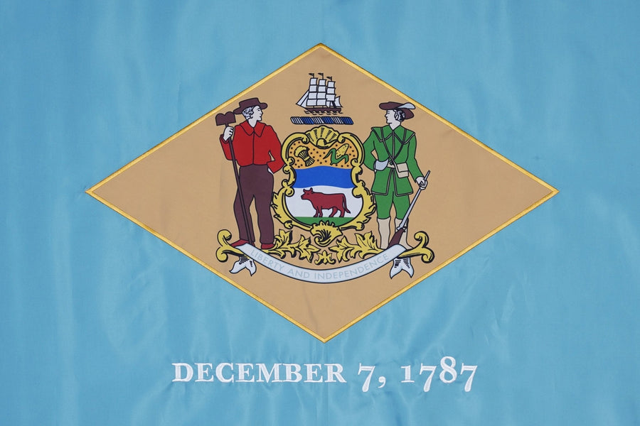 Delaware State Flag design and stitching in close-up