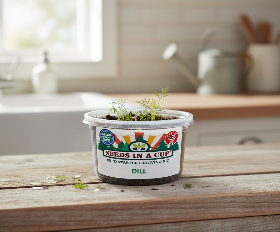 Dill Grow Kit | Seeds In A Cup®