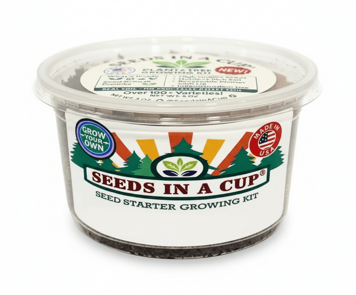 Lettuce Grow Kit | Seeds In A Cup®