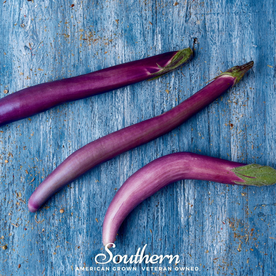 Long Purple Eggplant – 50 Seeds