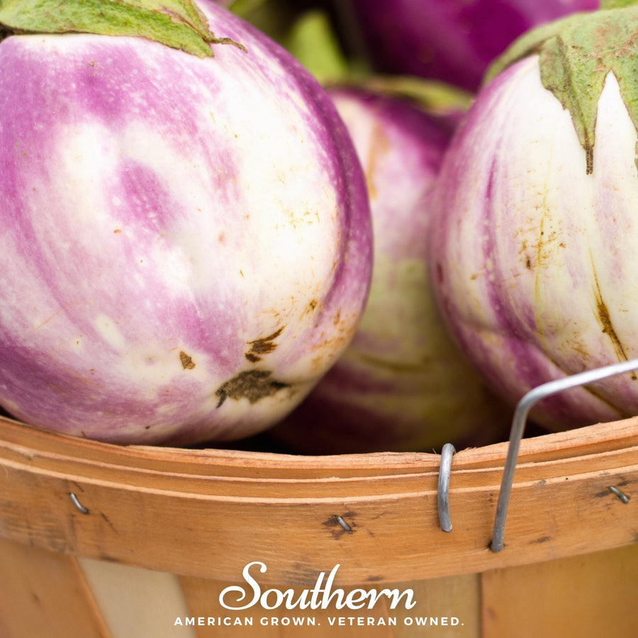 Rosa Bianca Eggplant – 50 Seeds