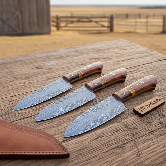 3-Piece Feather Pattern Damascus Knife Set with Rosewood Pakka Wood Handles
