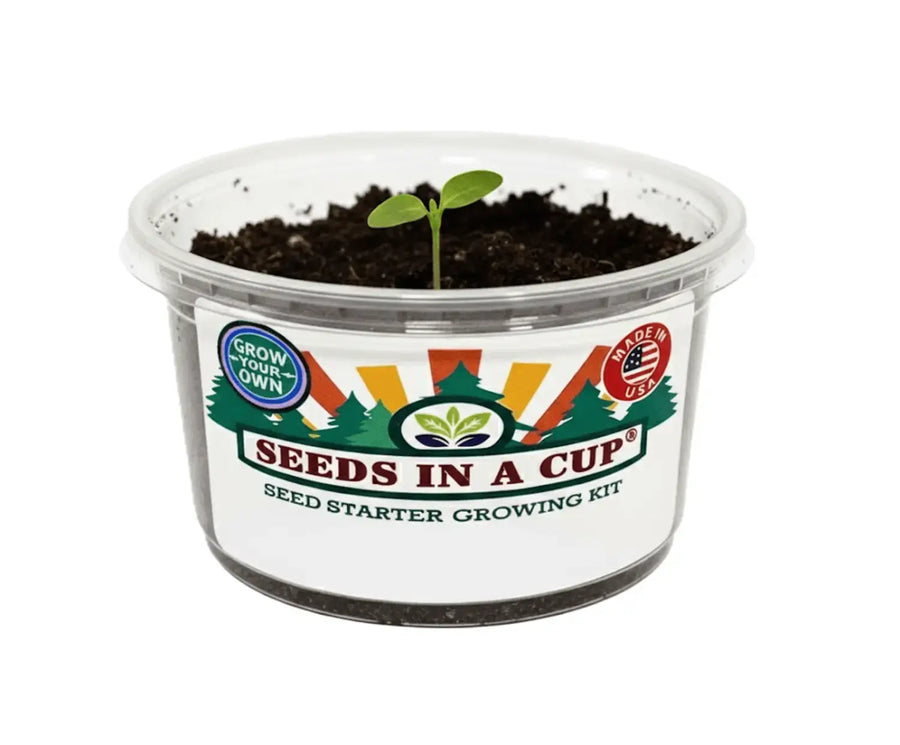 Cauliflower Grow Kit | Seeds In A Cup®