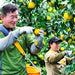 Girl Meets Dirt - Kankitsu Labo Candied Japanese Citrus Peels - Smallwares | Delivery near me in ... Farm2Me #url#