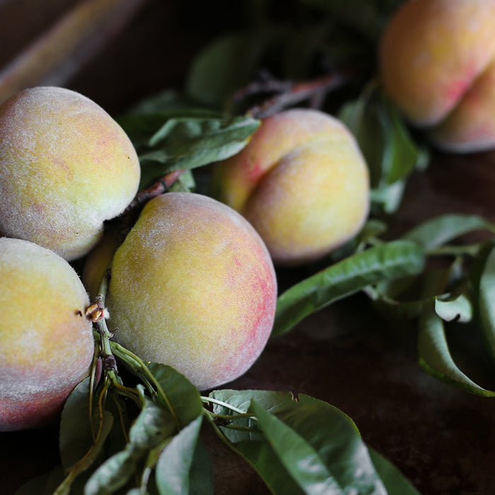 Girl Meets Dirt - Old Dames Orchard Tree Bitters - Bitters | Delivery near me in ... Farm2Me #url#