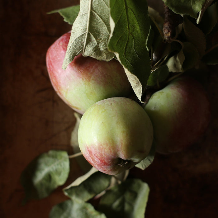 Salted Apple Caramel Spoon Preserves by Farm2Me