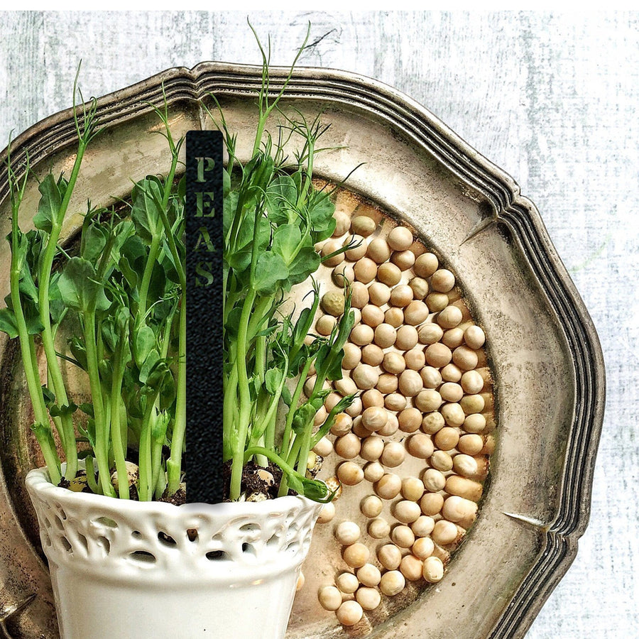 Gourmet Vegetable Stakes - Set of 5 - Custom Names and Colors