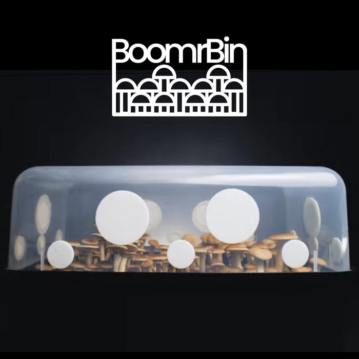 North Spore 'Boomr Bin' Monotub Mushroom Grow Kit by Farm2Me
