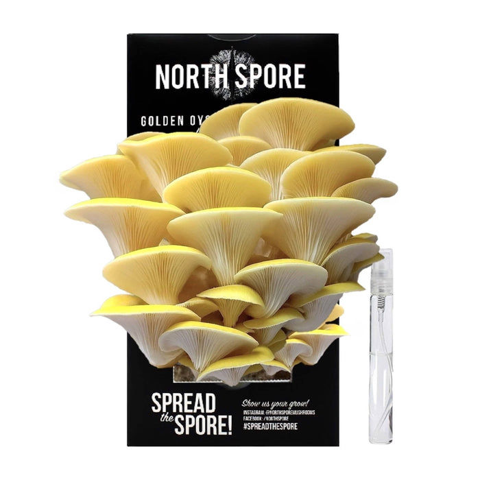 North Spore Organic Golden Oyster ‘Spray & Grow’ Mushroom Growing Kit by Farm2Me