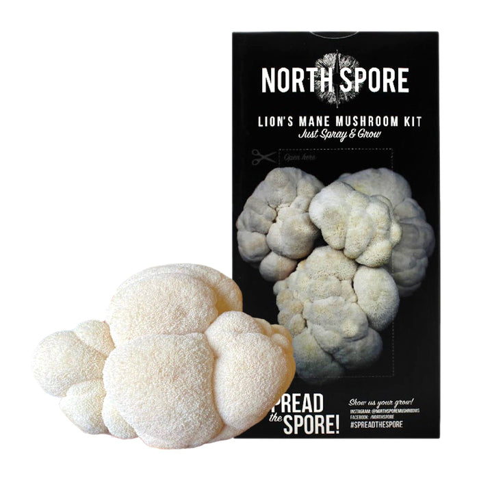 North Spore Organic Lion's Mane ‘Spray & Grow’ Mushroom Growing Kit by Farm2Me