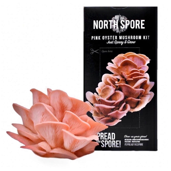 North Spore Organic Pink Oyster ‘Spray & Grow’ Mushroom Growing Kit by Farm2Me