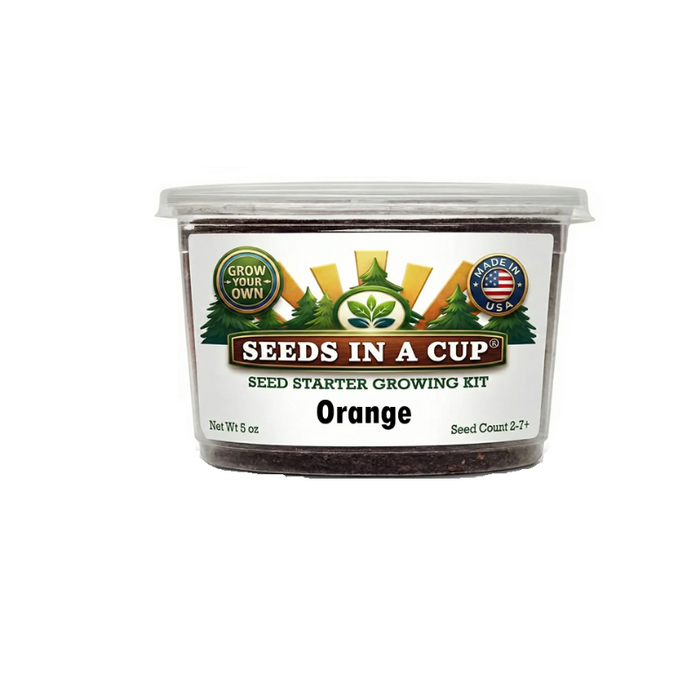Orange Tree Grow Kit | Seeds In A Cup®