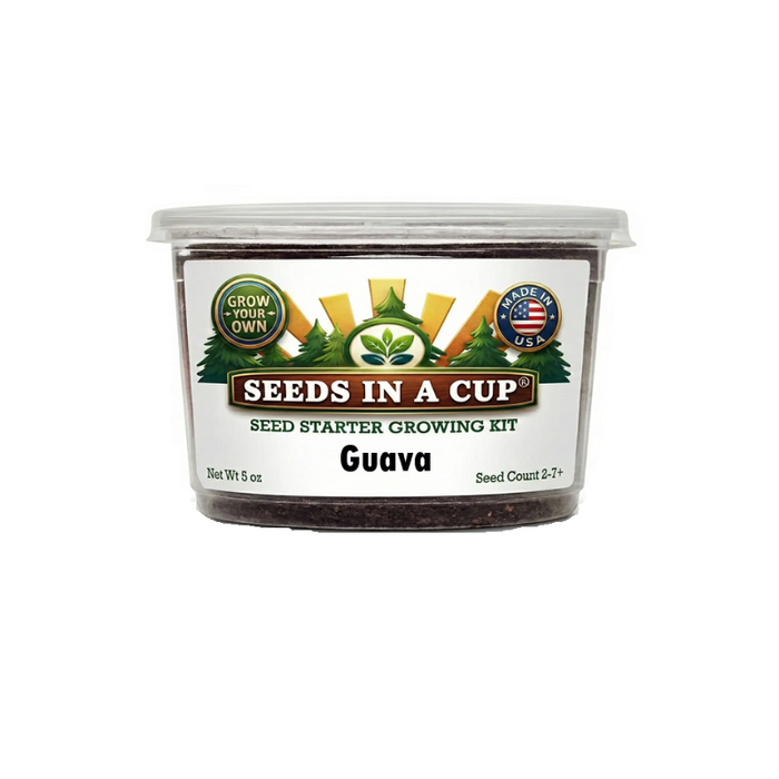Guava Tree Grow Kit – Tropical Fruit Tree from Seed