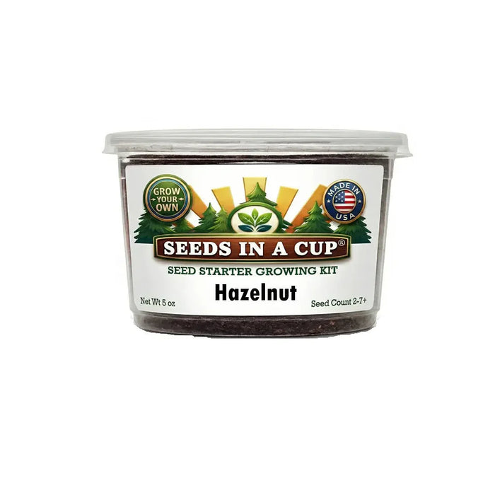 Hazelnut Tree Grow Kit