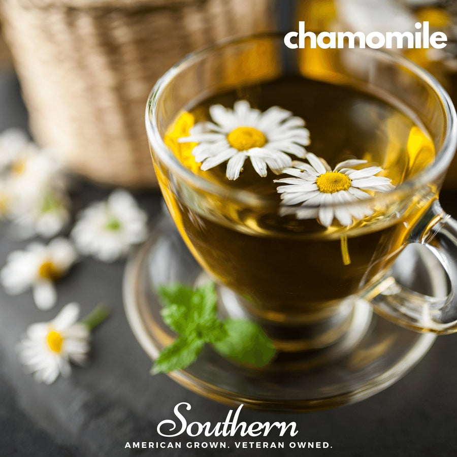 Herbal Tea Seed Collection – 6 Varieties