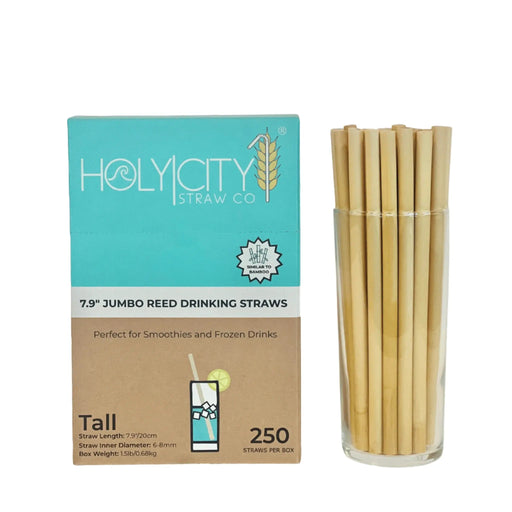 The image shows a box and a glass container of drinking straws from Holy City Straw Co. The box is primarily teal and brown with the brand logo and the text "HOLY CITY STRAW CO" on the front. It describes the product as "7.9" Jumbo Reed Drinking Straws" and highlights that they are suitable for smoothies and frozen drinks. The box contains 250 straws. The straws, displayed in a clear glass container next to the box, are natural-colored and made from reed material. The packaging also indicates that the straw