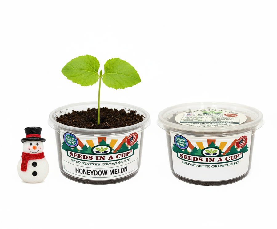 Honeydew Melon Grow Kit | Seeds In A Cup®