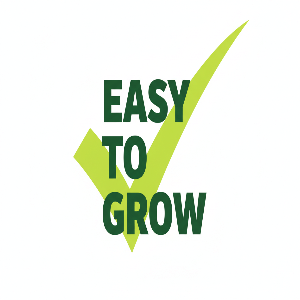 Green Beans Grow Kit | Seeds In A Cup®