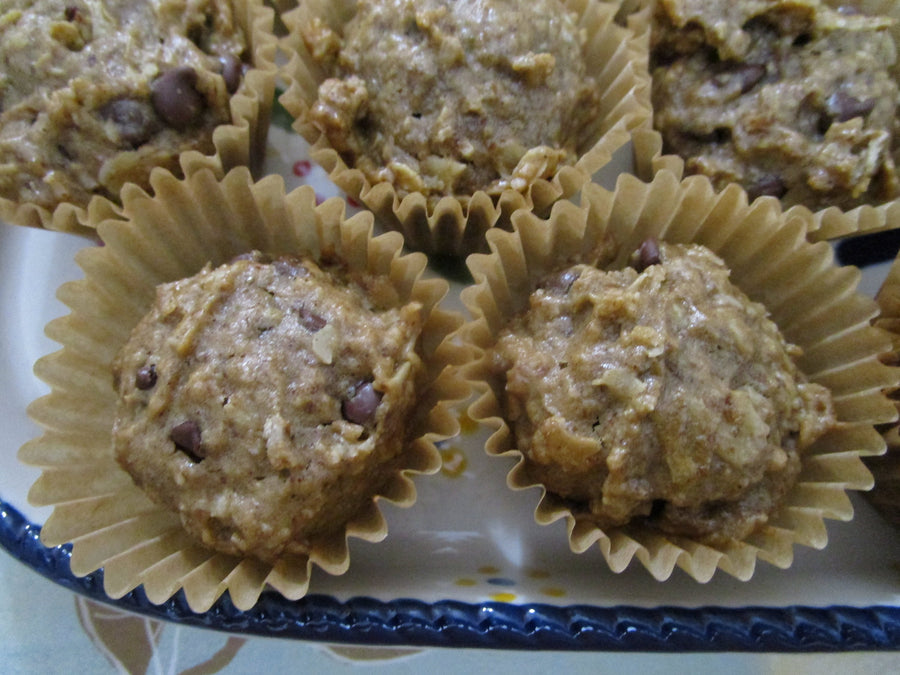 Gluten Free Mini Muffins, Oatmeal Chocolate Chip, Dairy Free, Vegan, Paleo, Nut Free, Coconut Sugar, Trail Mix, School safe snack, Low Sugar