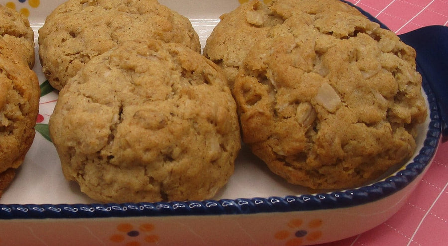Gluten Free Cinnamon Raisin Cookie, Dairy Free, Vegan, Nut Free, Allergy Friendly, School Safe Snack, Lunchbox treat, Iced Cookies, Non-GMO