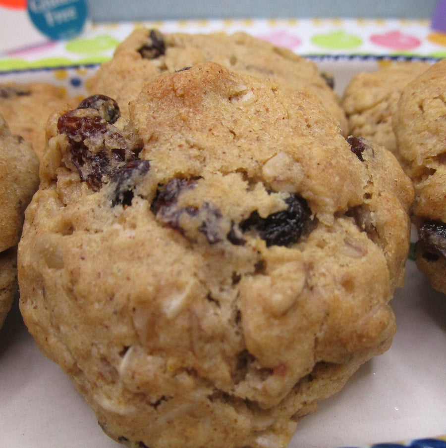 Gluten Free Cinnamon Raisin Cookie, Dairy Free, Vegan, Nut Free, Allergy Friendly, School Safe Snack, Lunchbox treat, Iced Cookies, Non-GMO