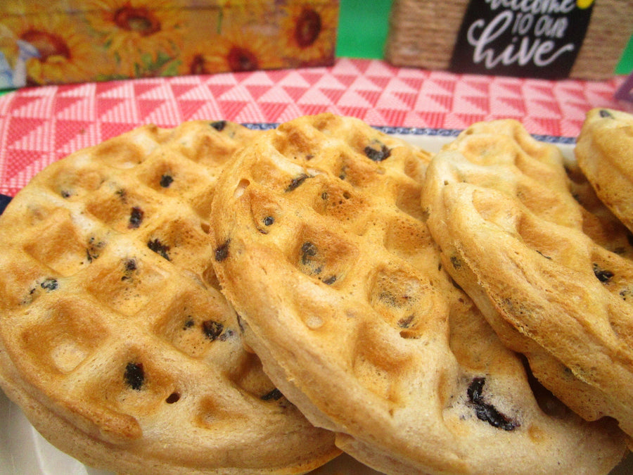 Grain Free Blueberry Waffles, AIP Paleo, Gluten Free, Grain Free, Vegan, Egg Free, Dairy Free, No added Sugar, Autoimmune Protocol Breakfast