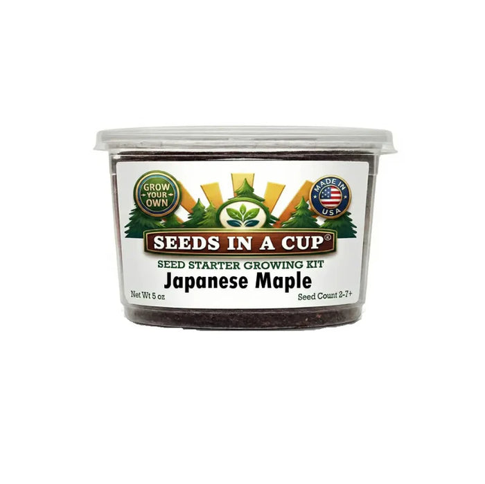Japanese Maple Tree Grow Kit | Grow Acer palmatum From Seed | Made in USA