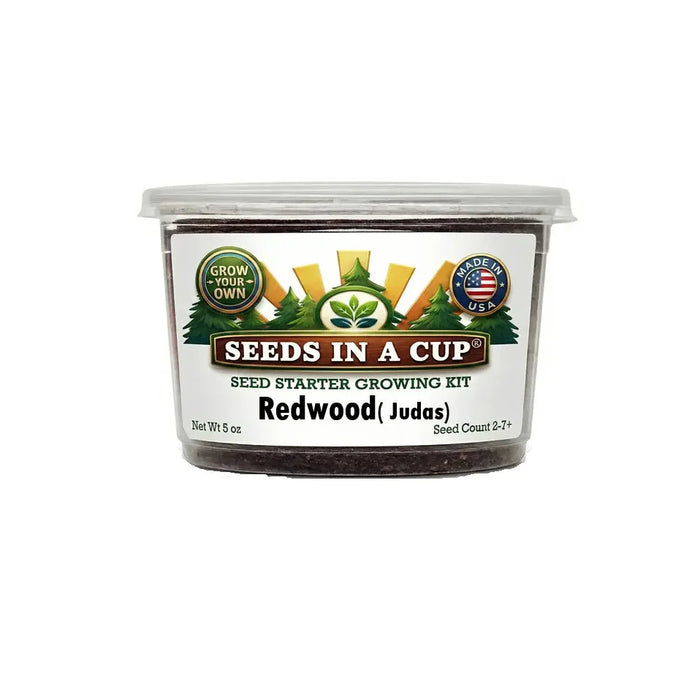 Judas Tree Grow Kit – Non-GMO Seed Starter Set