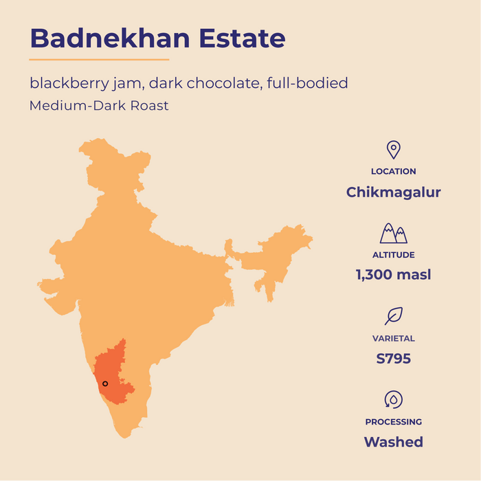 Kaveri Coffee - Bold | Badnekhan | Medium-Dark Roast (Whole Beans) - 6 bags x 12oz - Beverage | Delivery near me in ... Farm2Me #url#