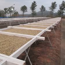 Kaveri Coffee - Bright - Kerkeicoondah | Medium-Light Roast (Whole Beans) Bags - 6 bags x 12oz - Beverage | Delivery near me in ... Farm2Me #url#