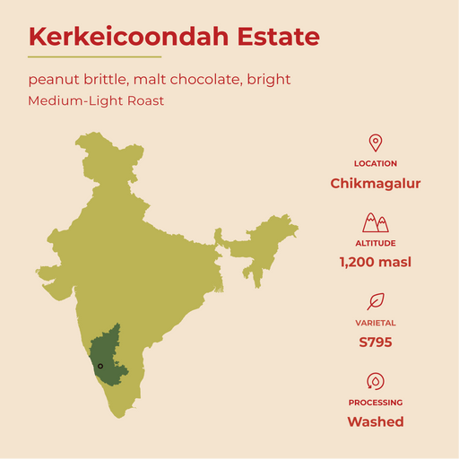 Kaveri Coffee - Bright - Kerkeicoondah | Medium-Light Roast (Whole Beans) Bags - 6 bags x 12oz - Beverage | Delivery near me in ... Farm2Me #url#