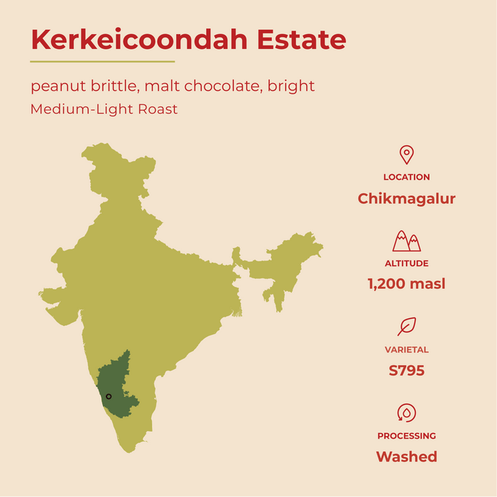 Kaveri Coffee - Bright - Kerkeicoondah | Medium-Light Roast (Whole Beans) Bags - 6 bags x 12oz - Beverage | Delivery near me in ... Farm2Me #url#