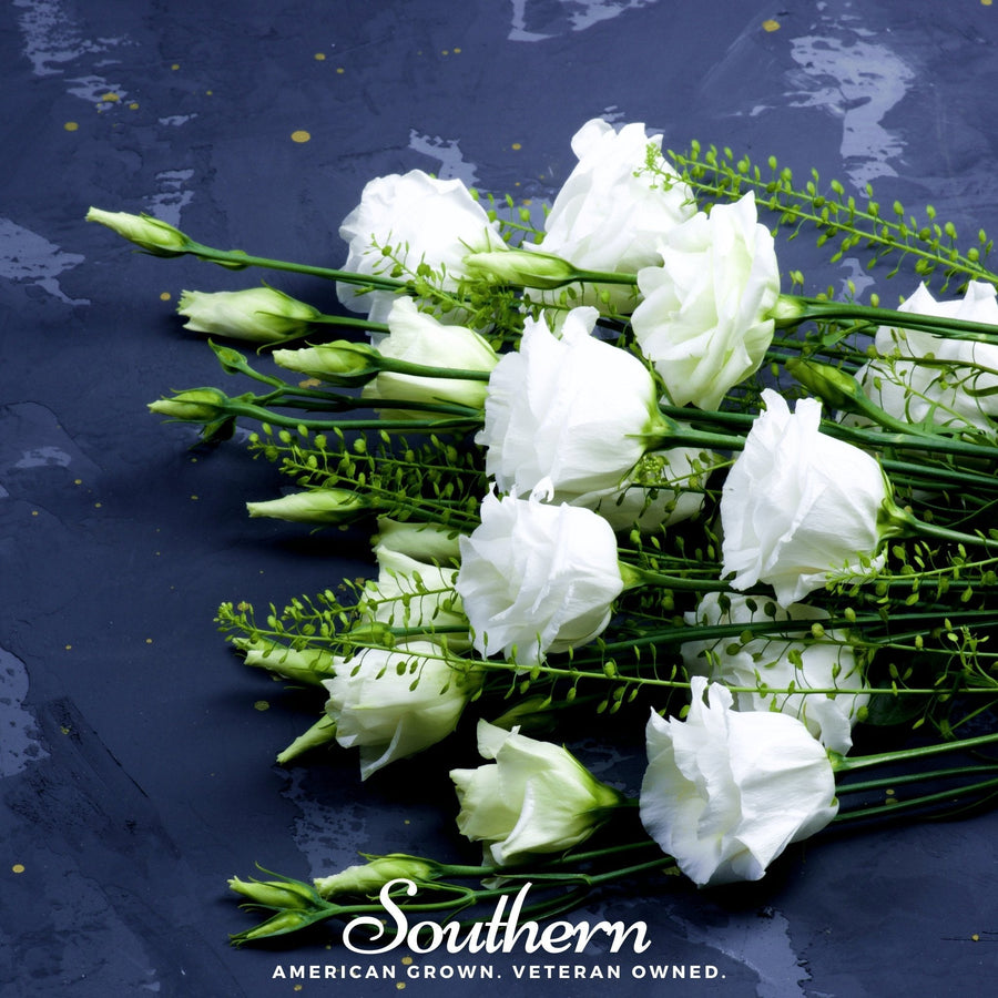 Sapphire White Lisianthus – 25 Seeds