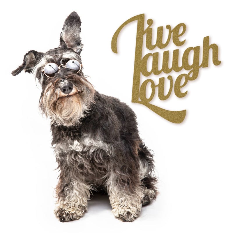 Live Laugh Love Metal Sign - Powder Coated 16-Gauge Steel Home Decor