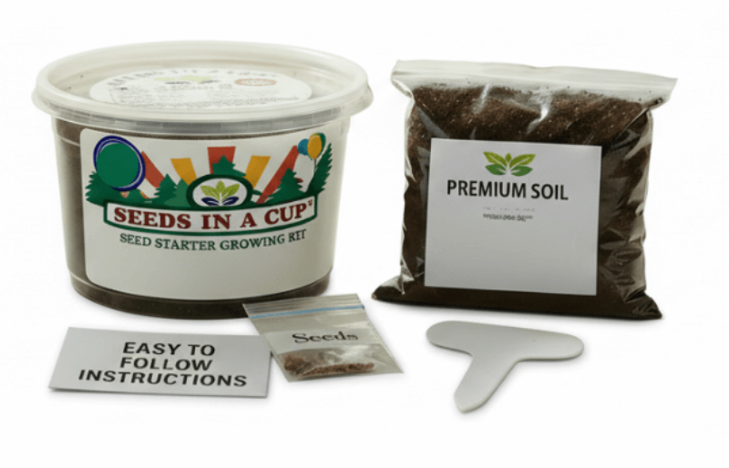 Hibiscus Grow Kit | Seeds In A Cup®