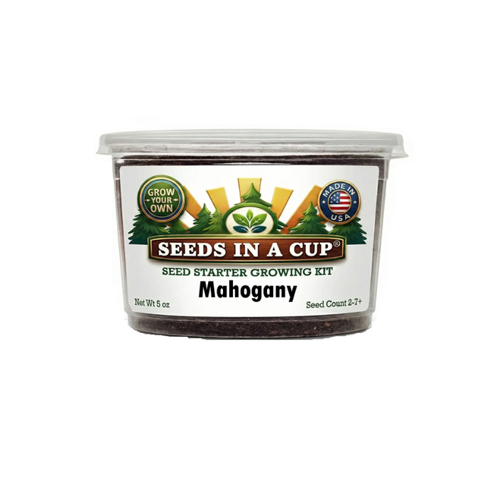 Mahogany Tree Grow Kit | Grow Swietenia From Seed | Made in USA