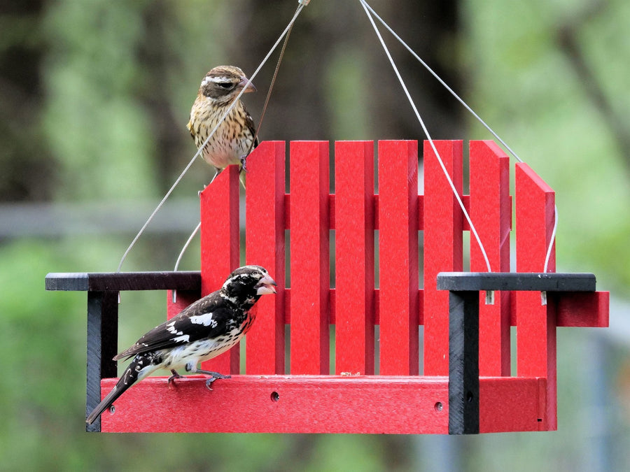Amish-Made Porch Swing Bird Feeder, Eco-Friendly Poly Lumber Hanging Decorative Bird Feeder