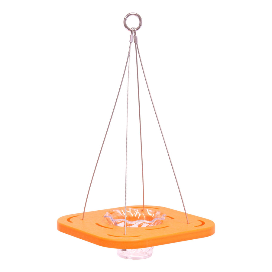 Oriole Bird Feeder, Porch Jelly-Cup Oriole Feeder, Poly Lumber