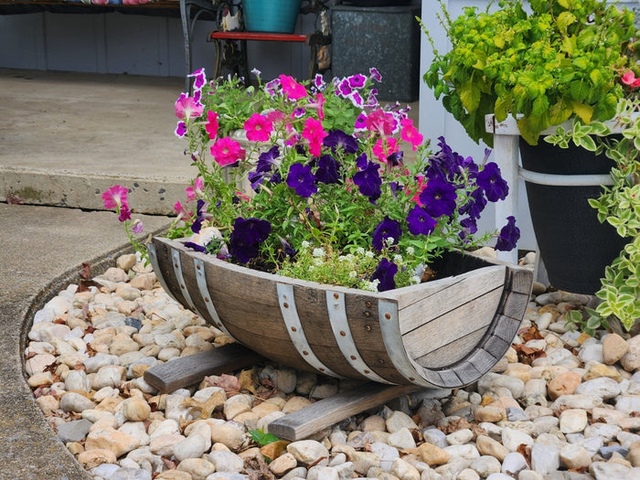 Reclaimed wooden barrel planter filled with flowers outdoors