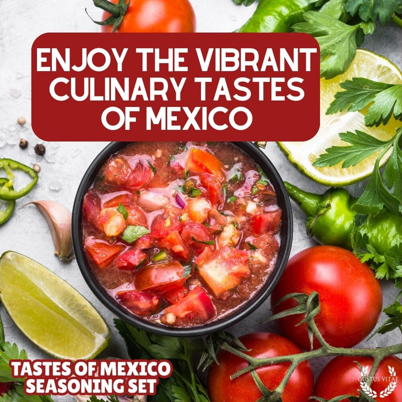 Mexican Seasoning Gift Set - Tastes of Mexico - Artisanal Spice Blends Six Pack Collections & Gift Sets Gustus Vitae