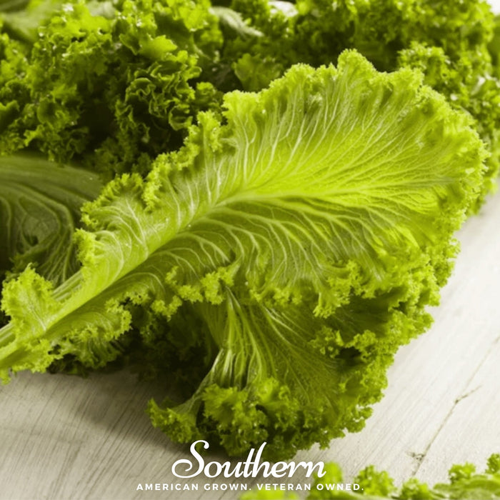 Southern Giant Mustard – 250 Seeds