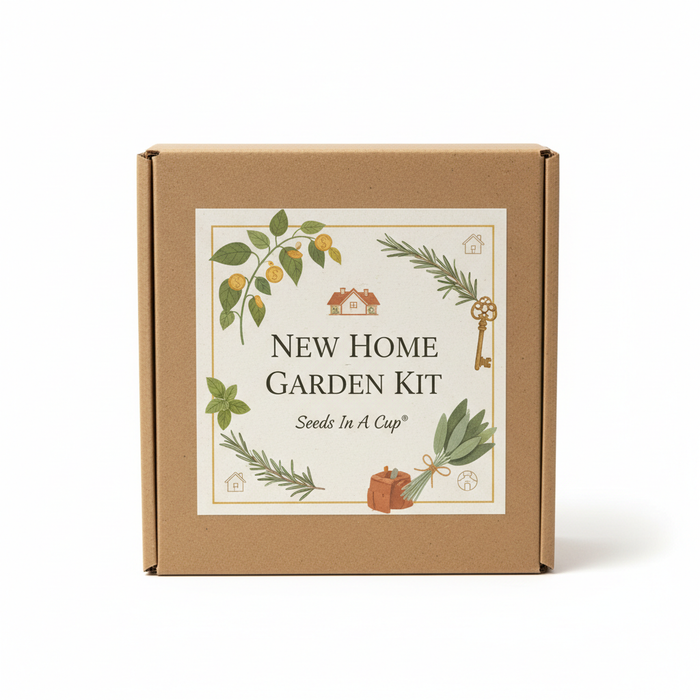 New Home Garden Kit | Money Plant, Rosemary, Basil & Sage | Seeds In A Cup®