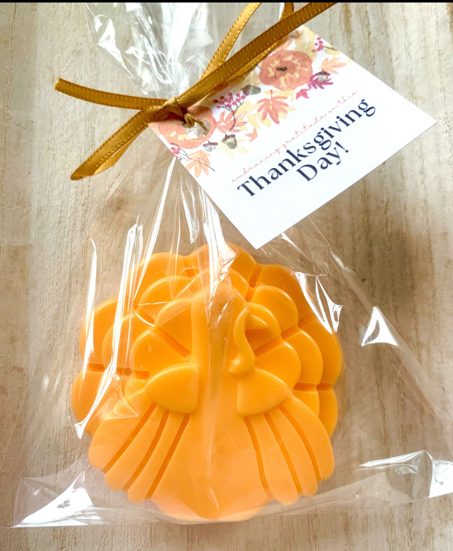 10 Turkey Soaps
