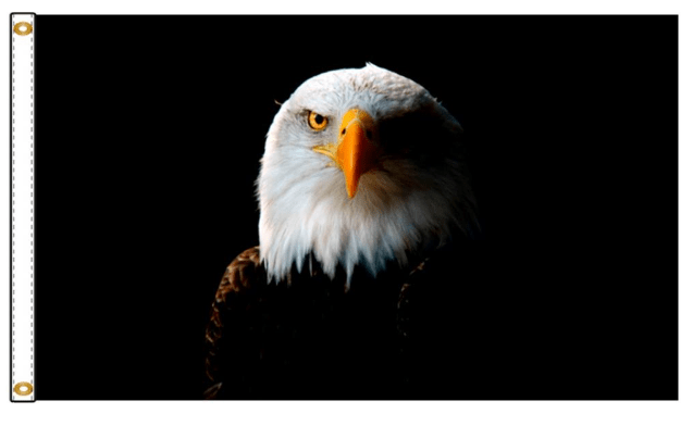 Noble Eagle