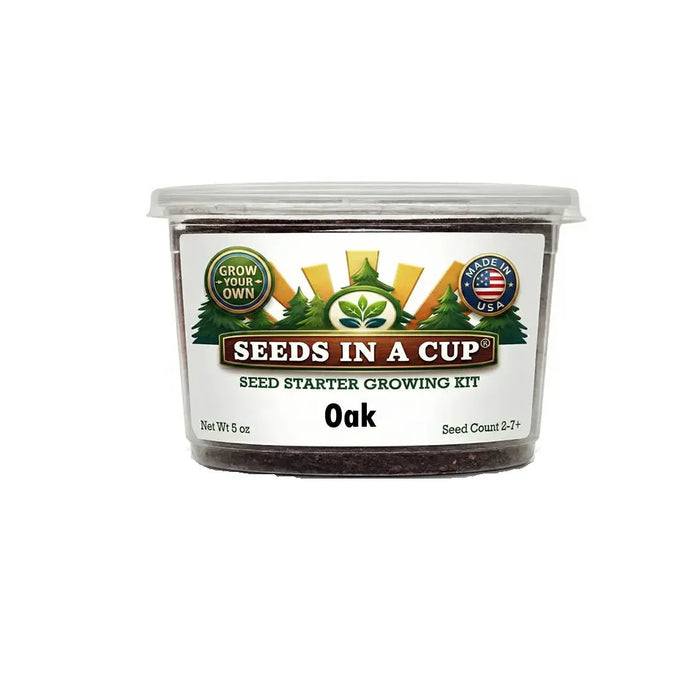 Oak Tree Grow Kit – Oak Seed Starter