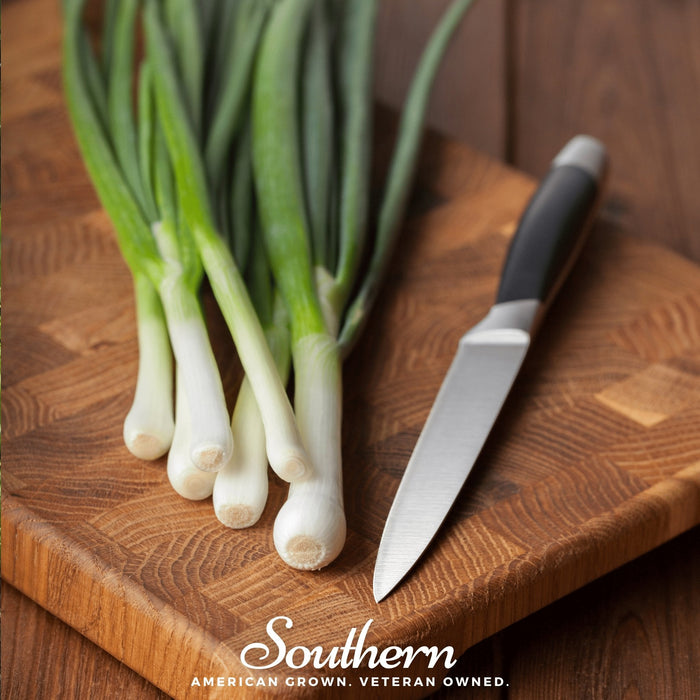 Tokyo Long White Onion – 200 Seeds