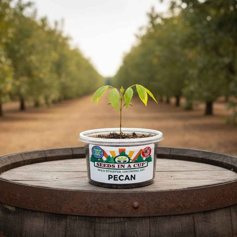 Tree Growing Kit | Grow Multiple Tree Varieties From Seed | Made in USA