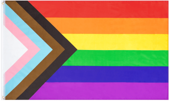 Progress Pride Outdoor Nylon Flag
