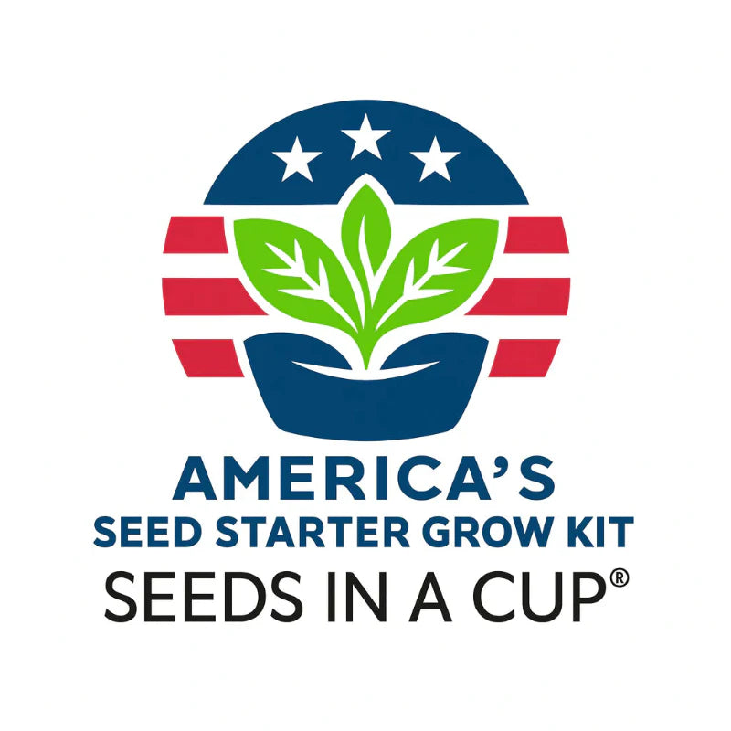Black Cherry Tree Grow Kit