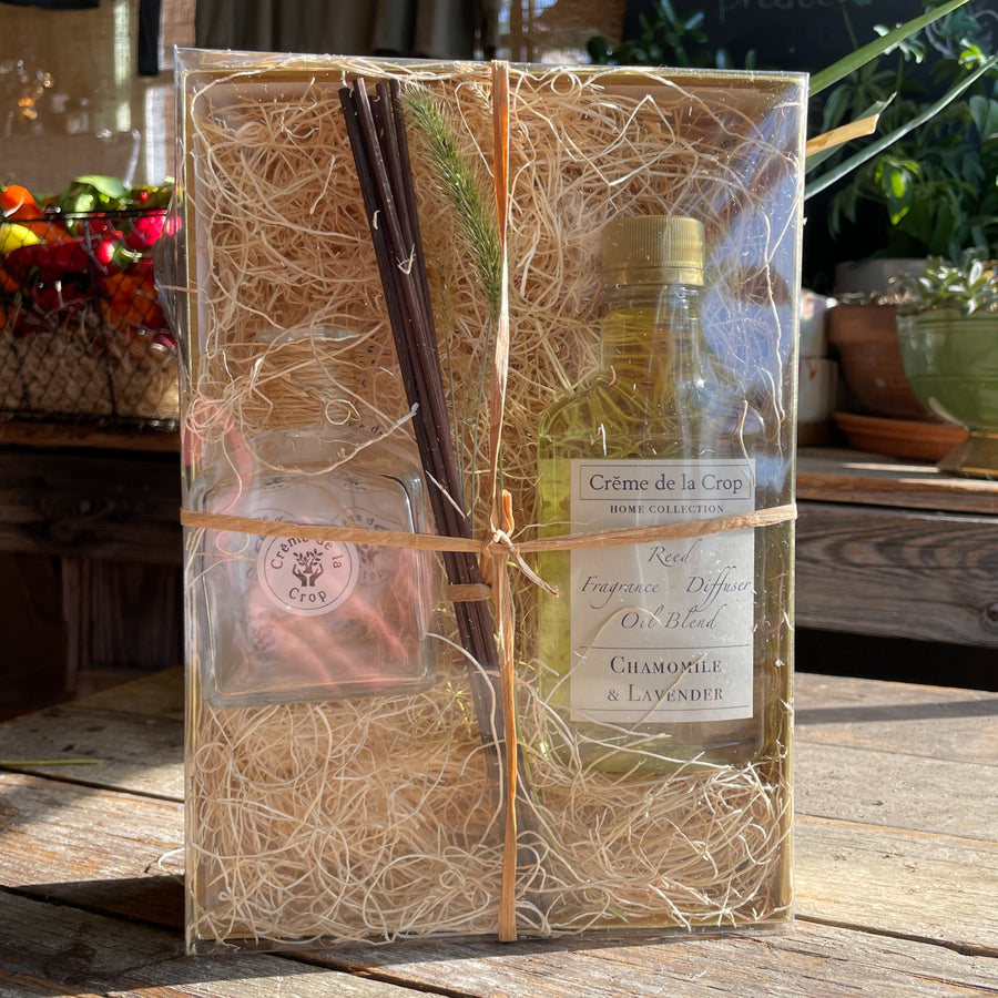 Reed Fragrance - Diffuser, Starter Kit - Bergamot & Lemongrass